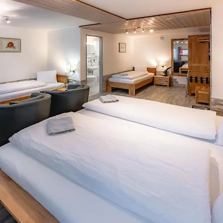 Hotel Paradis-leukerbad-therme 2*