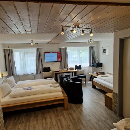 Otel Paradis-leukerbad-therme 2*