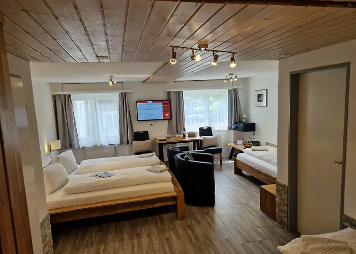 Hotell Paradis-leukerbad-therme 2*